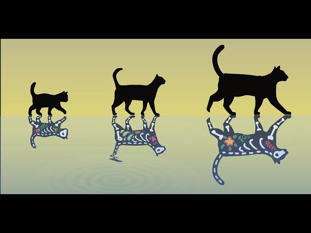 World's Heaviest Schrödinger's Cat: Quantum Crystal Visible To The Naked Eye