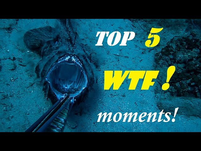 😲TOP 5 WTF moments📹CAUGHT on VIDEO