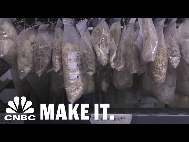 Turning Farm Waste Into Eco-Friendly, Safe Products | How I Made It | CNBC Make It.