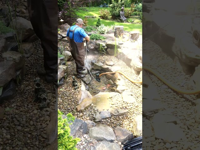 Another Backyard Pond Power Wash Cleaning | #shorts