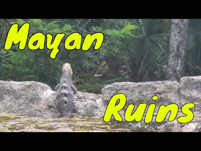 Mayan Ruins Tour Package
