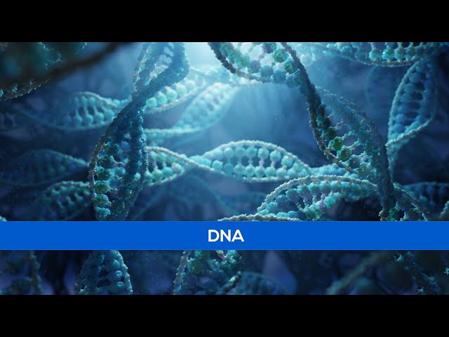 3D Science Animation - DNA