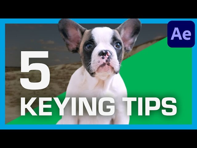 5 GREEN SCREEN Keying Tips For Beginners! | ActionVFX Quick Tips