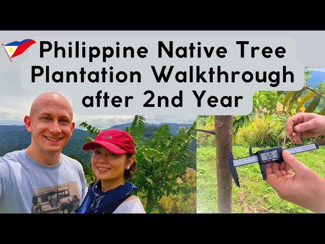 🇵🇭 ≈ 2 year-old Narra, Toog, Molave, Dao, Kalantas ... Philippine Native Tree Plantation Walkthrough
