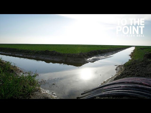 Water Wasted: The power of groundwater | To The Point