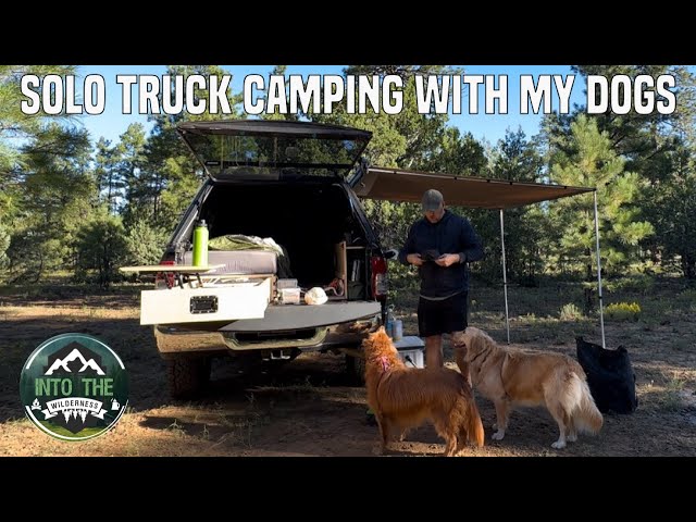SOLO TRUCK CAMPING with my DOGS - Coconino NF Arizona - Pine Trees