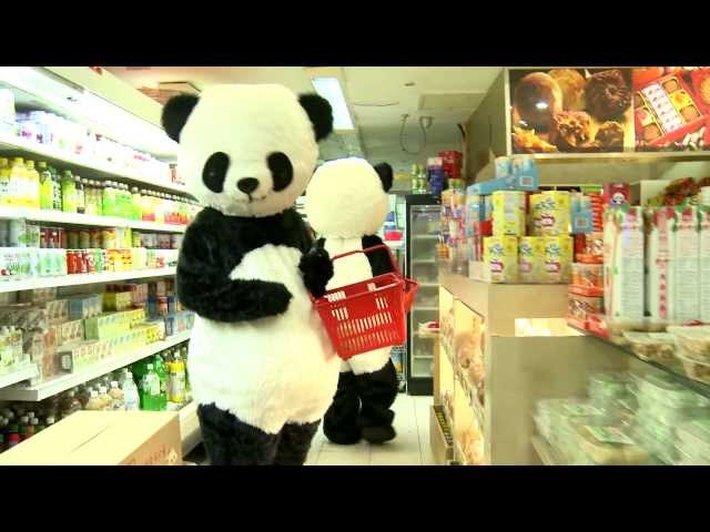 Shopping for panda supplies
