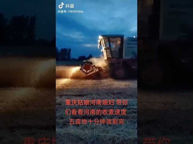 #Let me show you the speed of wheat harvesting in Henan #It’s another year of harvesting wheat seaso