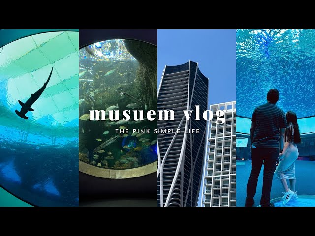 Phillip Frost Museum trip vlog 🩵🦈 | shark exhibit #miami #vlog #shark #florida #museum #frostmuseum