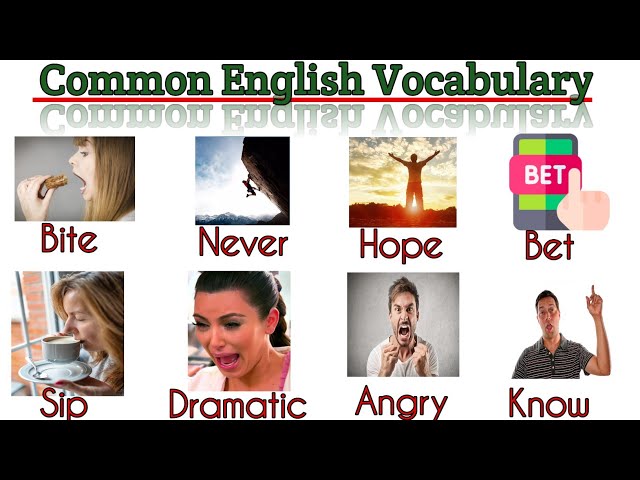 English Vocabulary | Common English Words | Vocabulary With Pictures| Vocabulary For Beginners |#p11