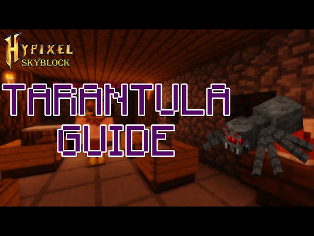 Tarantula Broodfather Slayer Guide | Hypixel SkyBlock [Ger / Eng Sub]
