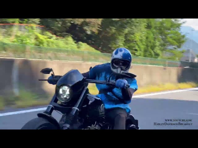 Video @miho8123 ​⁠@naoch1401 #harleydavidsonjapan #harleydavidson #harley #rider #motorcycle #v2