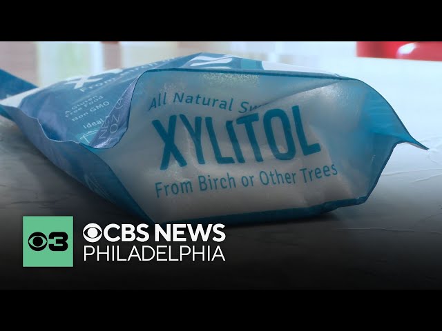 Sugar substitute xylitol linked to increased risk of stroke, heart attack, research shows