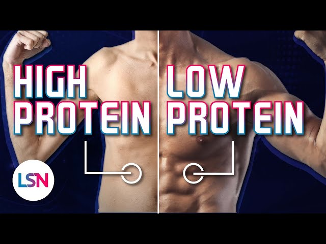 More Protein = Less Muscle? New Study Data Released!
