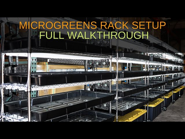 Microgreens Rack Setup Full Walkthrough