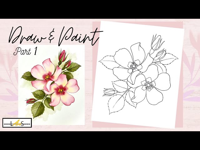 Draw Wild Roses! Beginner Friendly Part 1 of 2 Drawing and Painting! How to Draw!