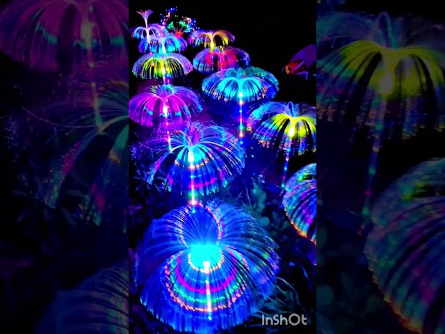 #Solar Garden Light #Solar Jellyfish Light