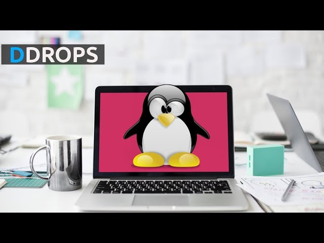 Qual distro Linux é a melhor para iniciantes? - Diolinux DROPS