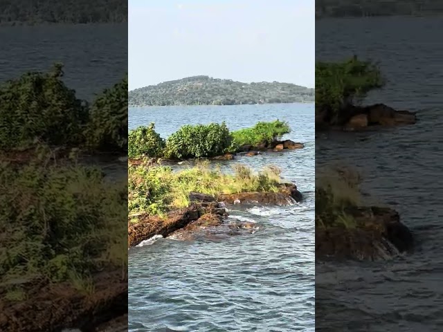 Shore of Lake Victoria Uganda
