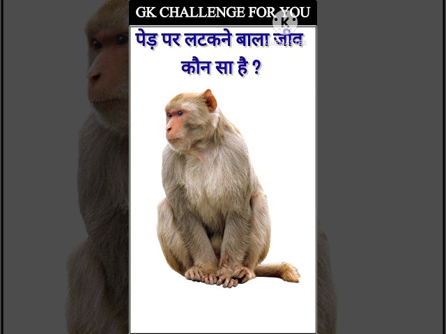 gk ssc|gk quiz |gk question|gk in hindigk|quiz in hindi| #sarkarinaukarigk #rkgkgsstudy #short#0595