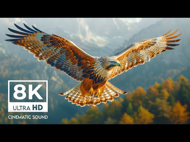 WONDERFUL 8K ULTRA HD 60FPS | with Realistic Cinematic Sound (color dynamic)