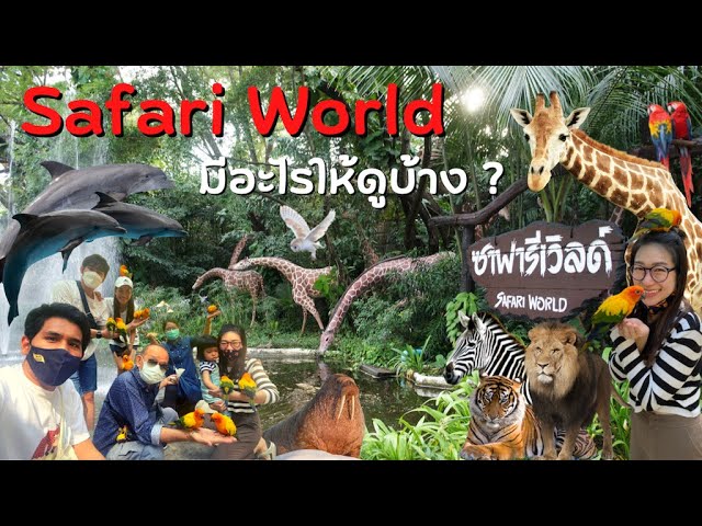 ซาฟารีเวิลด์ กรุงเทพ มีอะไรให้ดูบ้าง ? | สวนสัตว์ Safari World Bangkok ที่เที่ยวกรุงเทพ