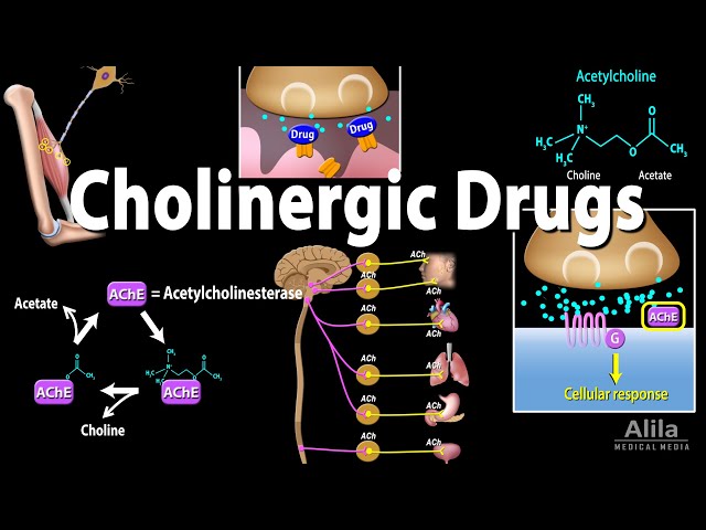 Cholinergic Drugs - Pharmacology, Animation