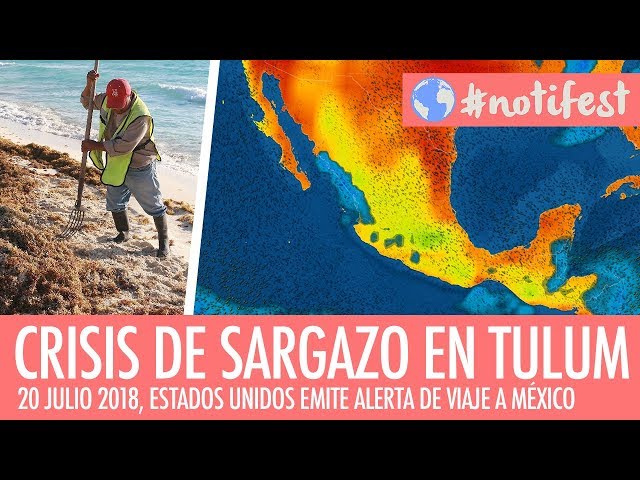 Crisis de Sargazo en Tulum, emiten alerta de viaje a México