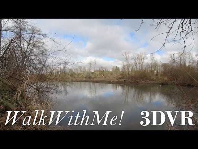 WalkWithMe - RiverFront (VR 3D)