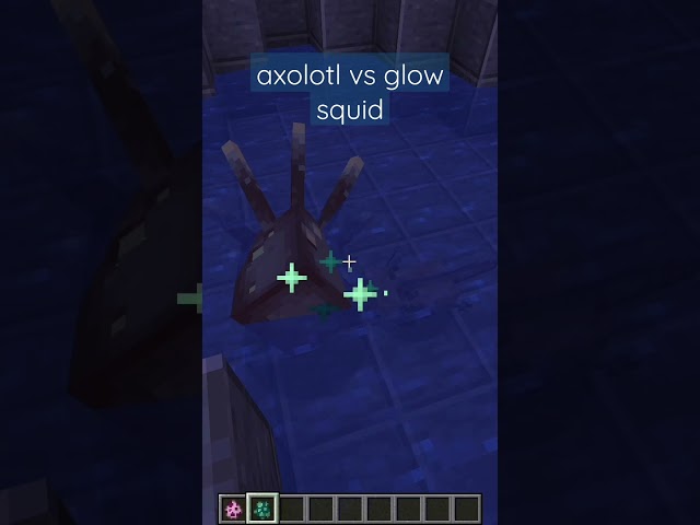 axolotl vs glow squid #shorts #youtubeshorts #utsavdeepushorts #minecraft #short #ytshorts
