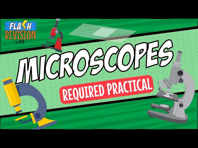 GCSE Biology: Revision Guide | Microscopy & Required Practical