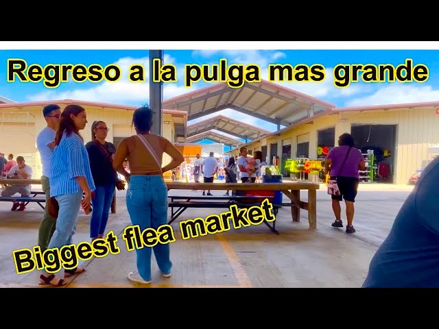 Traders Village San Antonio Texas flea market Pulga Garra cazando herramientas en Estados Unidos