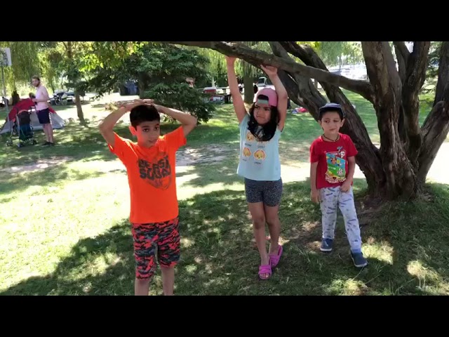 Hanging from the tree branch challenge