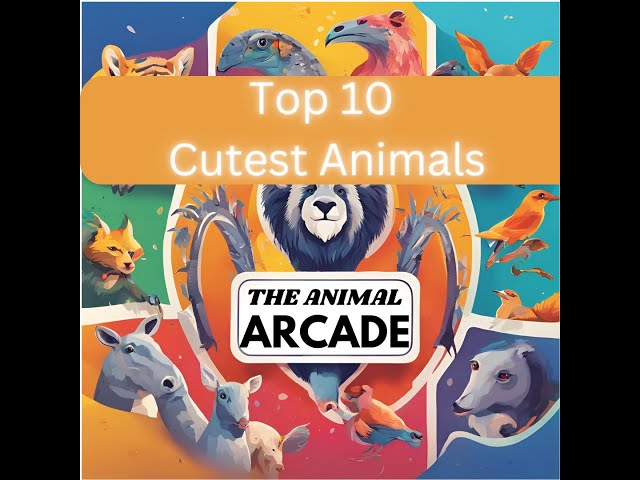Top 10 Cutest Animals in the World | Adorable Animal Countdown for Kids