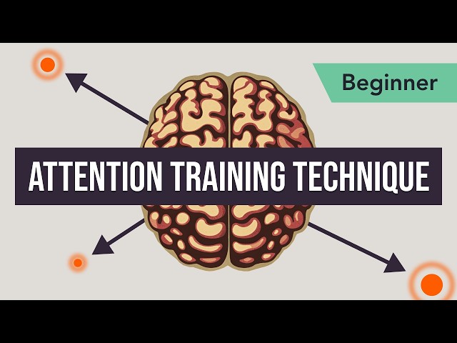 Attention Training Technique in MCT. (Beginner 2 - series 2)