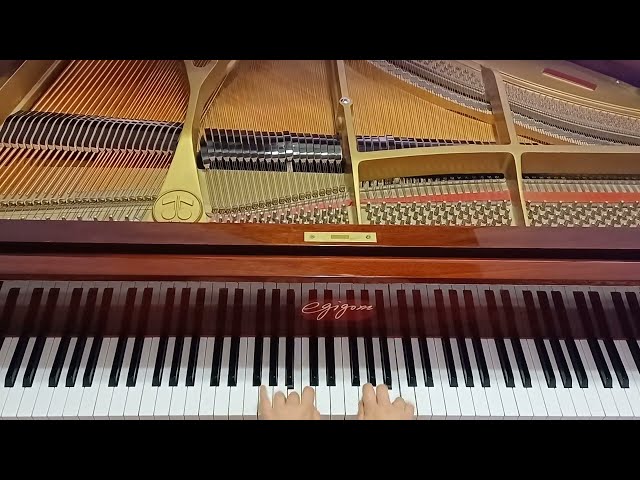 ♡ Hanon - Exercise no. 7 ♡ #hanon #excercise #pianomusic #practicepiano #pianopractice #practice