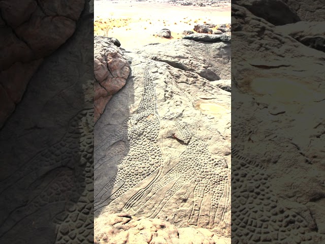 Scientists Made An Incredible Discovery In The Middle Of The Sahara Desert #shorts