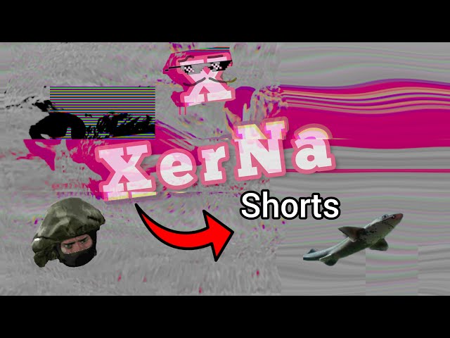 Best of XerNa: 2023 Shorts Edition