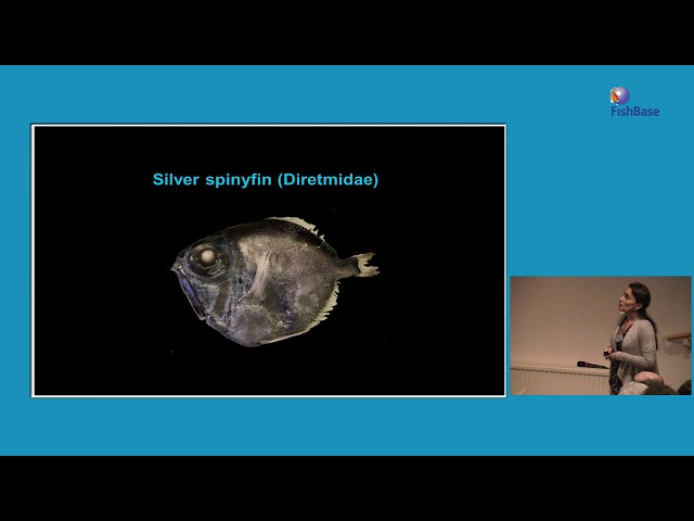 Fanny de Busserolles: Deep-sea fish visual ecology