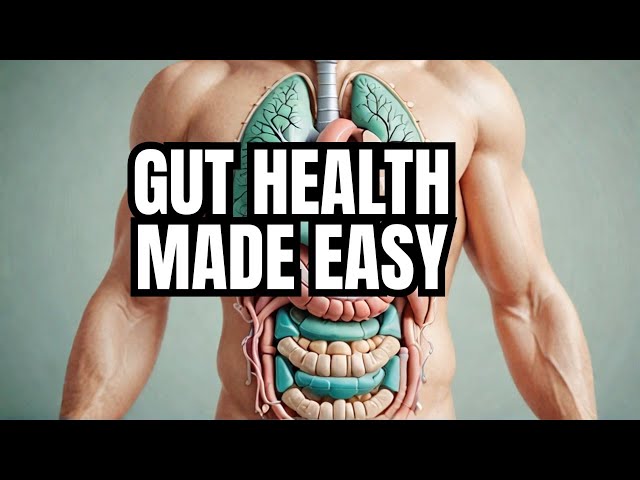 The ULTIMATE Digestive Health Guide (Simplified)