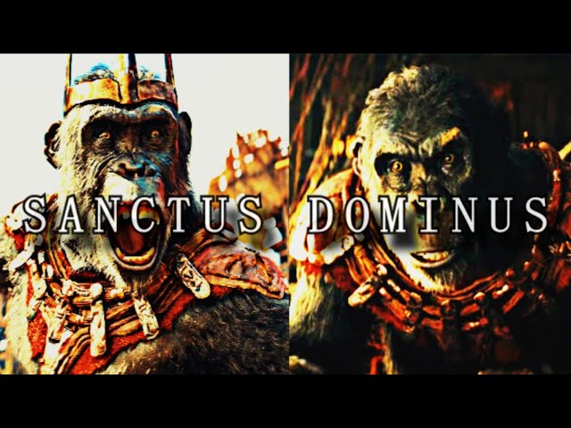 Próximus Caesar | SANCTUS DOMINUS (edit)