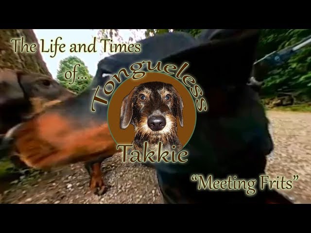 Meeting Frits (LG 360 Cam) - Life and Times of Tongueless Takkie