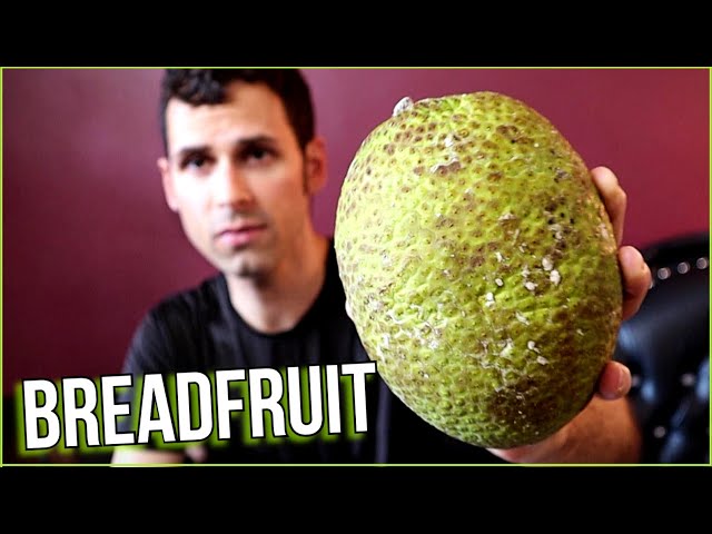 BREADFRUIT THE RIGHT WAY : 5 Ways to Cook This Fascinating Fruit! - Weird Fruit Explorer
