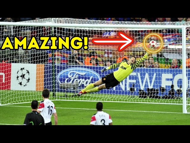 Incredible saves seen on soccer pitches
