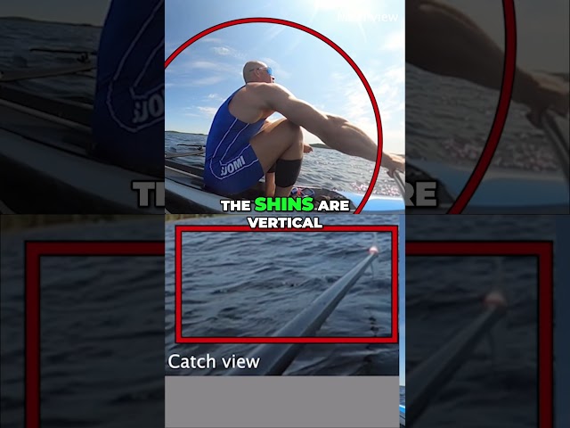 Analysing the catch with a 360 camera