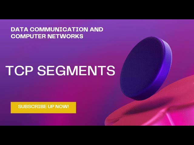 TCP segments | DATA COMMUNICATION AND COMPUTER NETWORKS