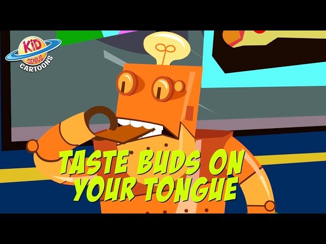Taste Buds On Your Tongue Music Video | Learn Science by Thomas Edison's Secret Lab STEM Videos