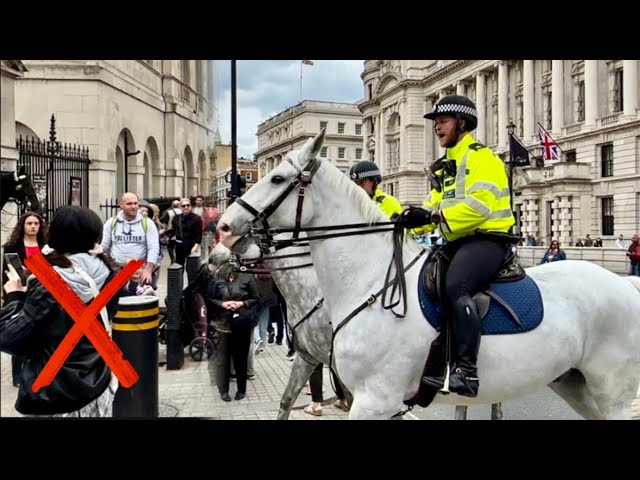 LISTEN LADY! NEVER SEEN A POLICE ON HORSE SHOUT LIKE THIS! AT HORSE GUARDS