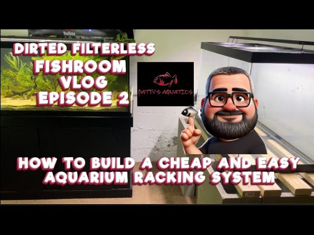 How To Build A Cheap And Easy Aquarium Racking System: Dirted Filterless Fishroom Vlog Episode 2