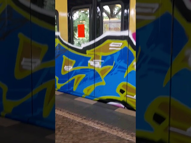 DROW + MARSHAL still running GRAFFITI SUBWAY TRAIN S-BAHN BERLIN 2024
